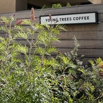 YOUNG TREES COFFEE - 外観