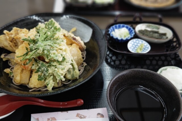 菫（スミレ） - 近文（そば）の写真