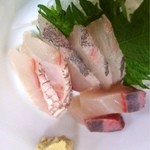太陽 - お刺身付き♪