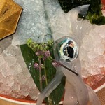 博多もつ鍋 前田屋 総本店 - 