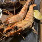 備長炉端 だいやめ - 