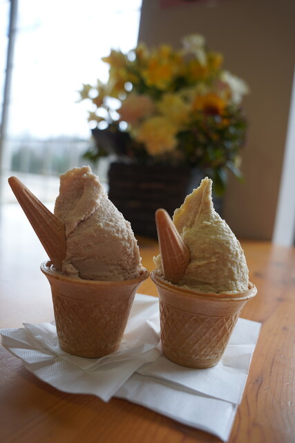 アイス Concepts x adidas ZX 9000 “Silver Metallic” FX9966 Release Date