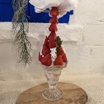 クラシック・ノン 1982 - 