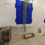 クラシック・ノン 1982 - 