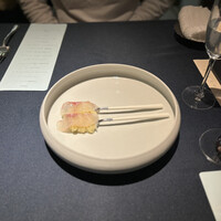 セルサルサーレ - 