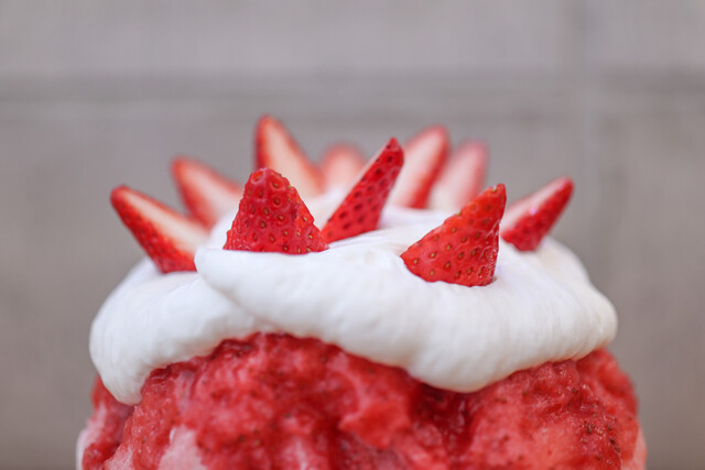 Kanmiya Noan photo 2