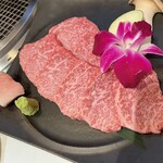 Honchou Yakiniku Datenari - 