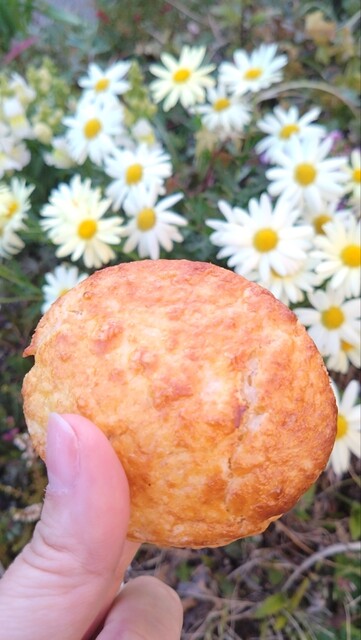 サクサク至福の食感♪【ザ・ビスケット・バレル】 クッキー缶