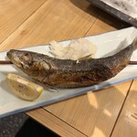 ニューロバタ カタナ食堂 - 