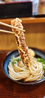 Sanuki Udon Harushin - 