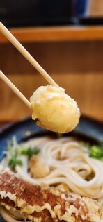 Sanuki Udon Harushin - 