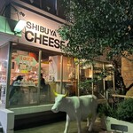 SHIBUYA CHEESE STAND - 