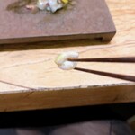 レヴォ - タコの吸盤