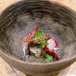 レヴォ - ツキノワグマ、上はチコリ、ツボミナ