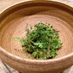 レヴォ - カワハギ、木の芽和え？