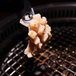 銀座焼肉 seigou - ミノ