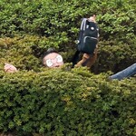 なんか喰ぃ亭 - 