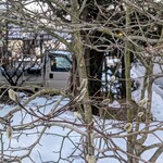 Seminare 카루이사와 - 이렇게 꽃이 단련되는군요