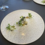 プレゼンテ スギ - 