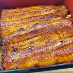 Unagi Kappou Izuei Umegawatei - 11,000円コース うな重大き目