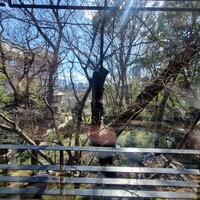 鰻割烹 伊豆栄 梅川亭 - 伊豆栄梅川亭お部屋からの風景