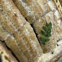 炭焼 うな富士 有楽町店 - 