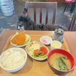 食堂居酒屋 どいちゃん - 