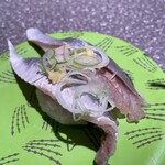 根室花まる - トロにしん