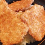 とんかつ政ちゃん 牡丹山店 - タレカツ丼