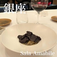 サーラ アマービレ - 