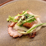 プルサーレ - イイダコ/淡路