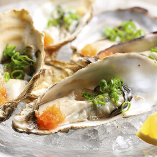 A variety of dishes including delicious Oyster from all over the country, Seafood, and meat.