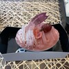 パティスリーヨシノリアサミ - 桜のモンブラン 702円（税込）