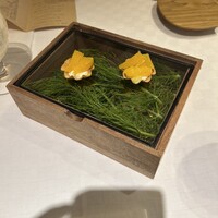 デルフィーナ - 