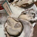 NAGOYA OYSTER BAR - 