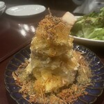 ピエーノ フェスタ - 