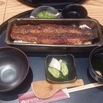 Unagi Yondai Me Kikukawa - 