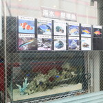 ラーメン二郎 - 海水♥熱帯魚