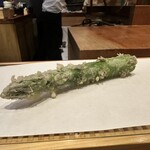 Tempura Miyashiro - 