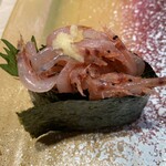 回転寿司 みさき - ⒌生桜えび軍艦