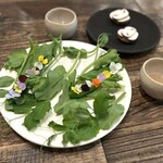 aru - 2月下旬のコース