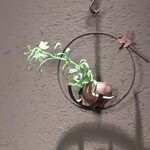 日本焼肉 はせ川 - 