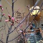 日本焼肉 はせ川 - 