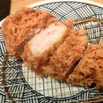 Tonkatsu Ekkusu - 