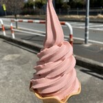 JA南アルプス市 道の駅しらね 農産物直売所 - ★202403