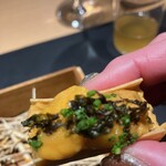 サンプリシテ - 