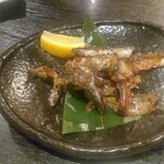 Yaki Shiomiya - 