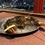 Red Lobster - 