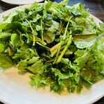 DON CONA CONERY - クラシックグリーンサラダ