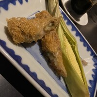 真皿 - 
